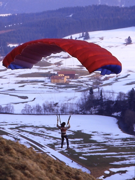 glty010.jpg