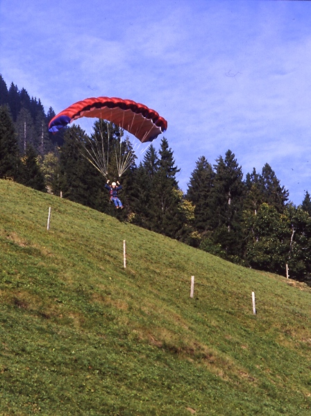 glty011.jpg