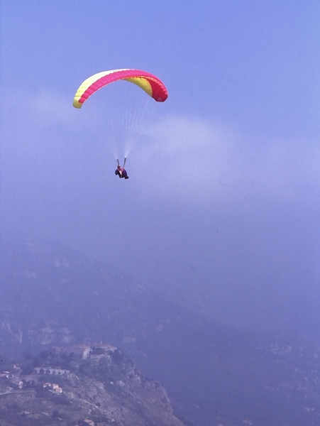 glty030.jpg