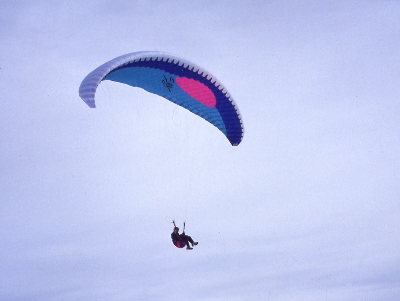 glty050.jpg