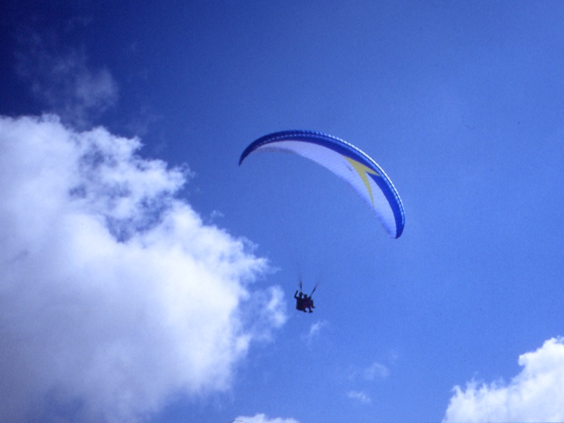 glty068.jpg