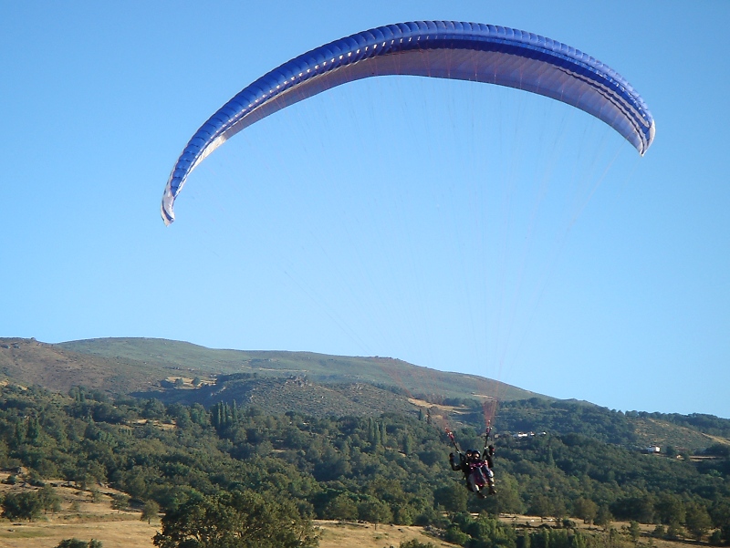 glty078.jpg