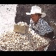 mex22.jpg