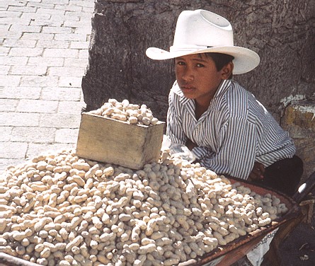 mex22.jpg
