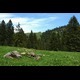alpen10014.jpg