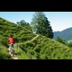 alpen10132.jpg