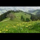 appenzell035.jpg