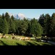 suedtirol050.jpg
