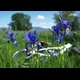 mtb070.jpg