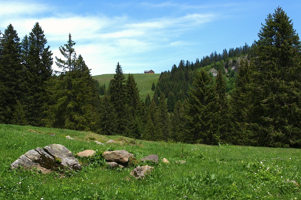 alpen10014.jpg