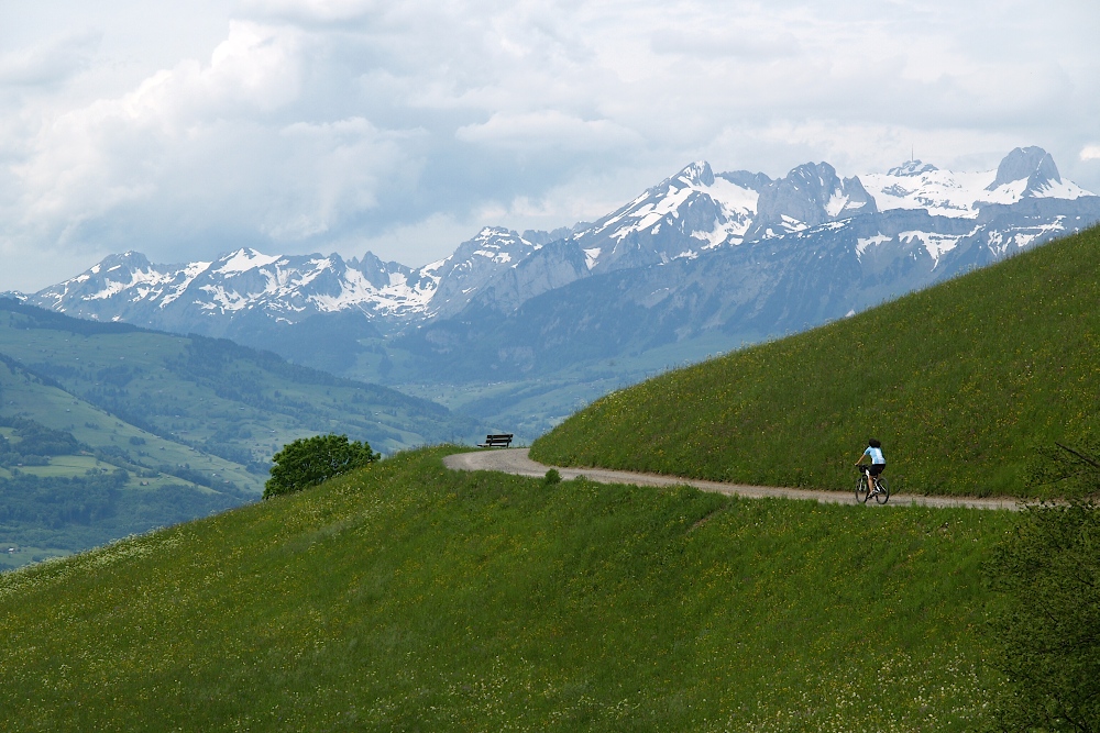 alpen10034.jpg