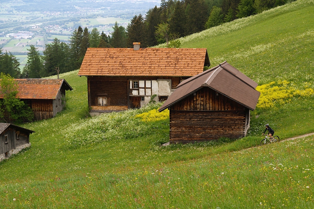 alpen10036.jpg