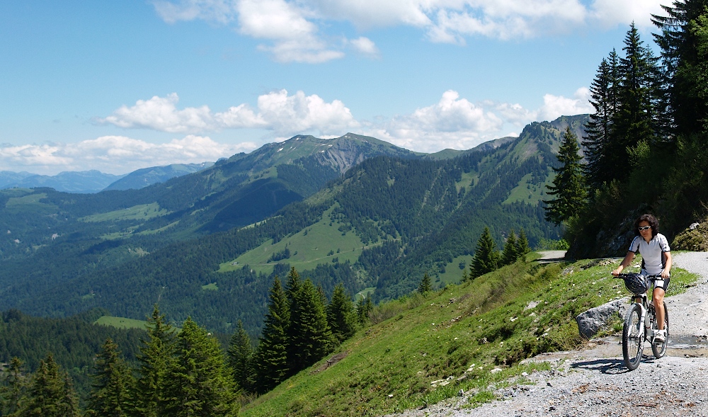 alpen10112.jpg