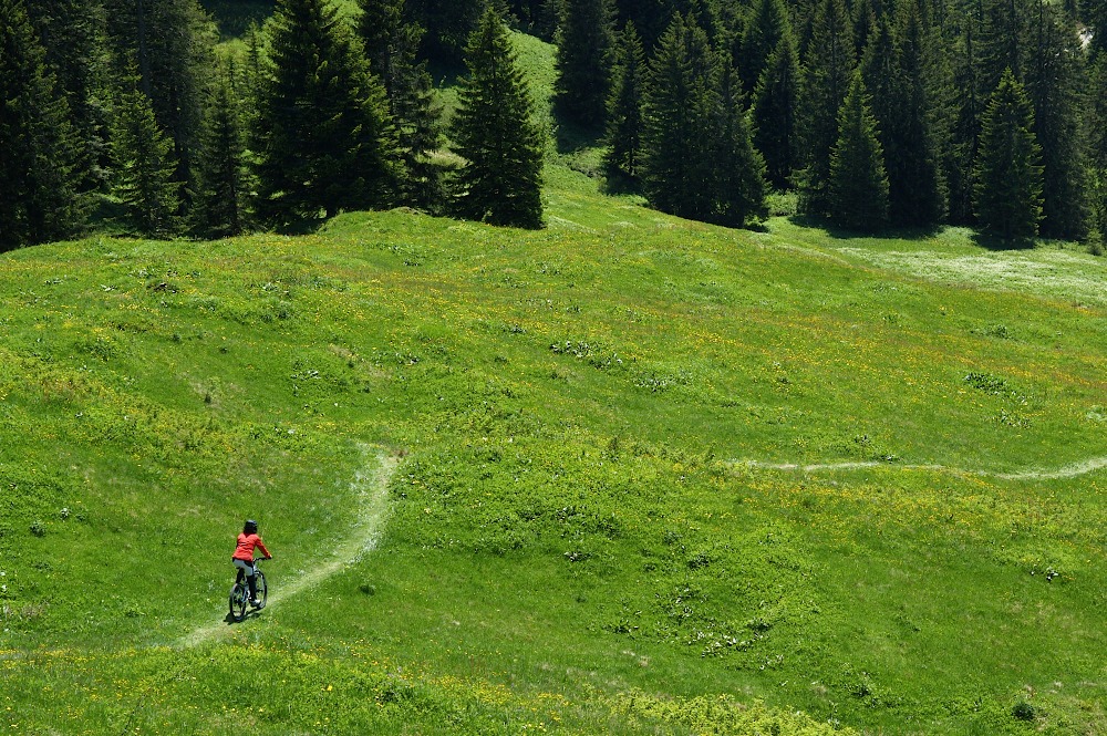 alpen10120.jpg