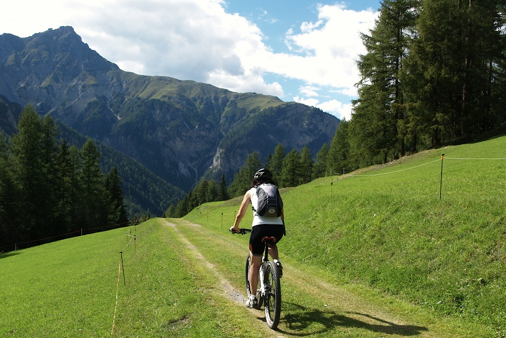 alpen20058.jpg