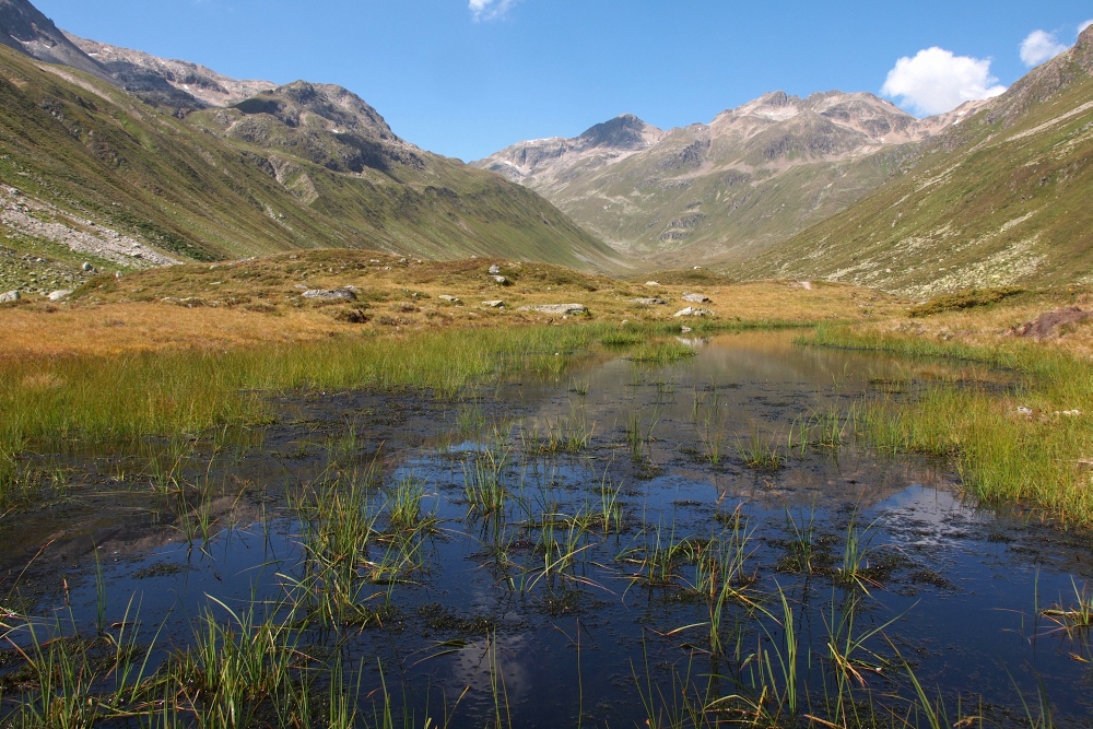 alpen20120.jpg