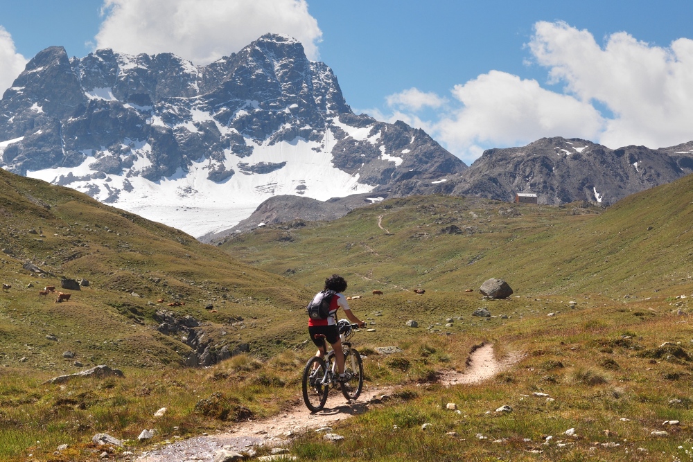 alpen20130.jpg