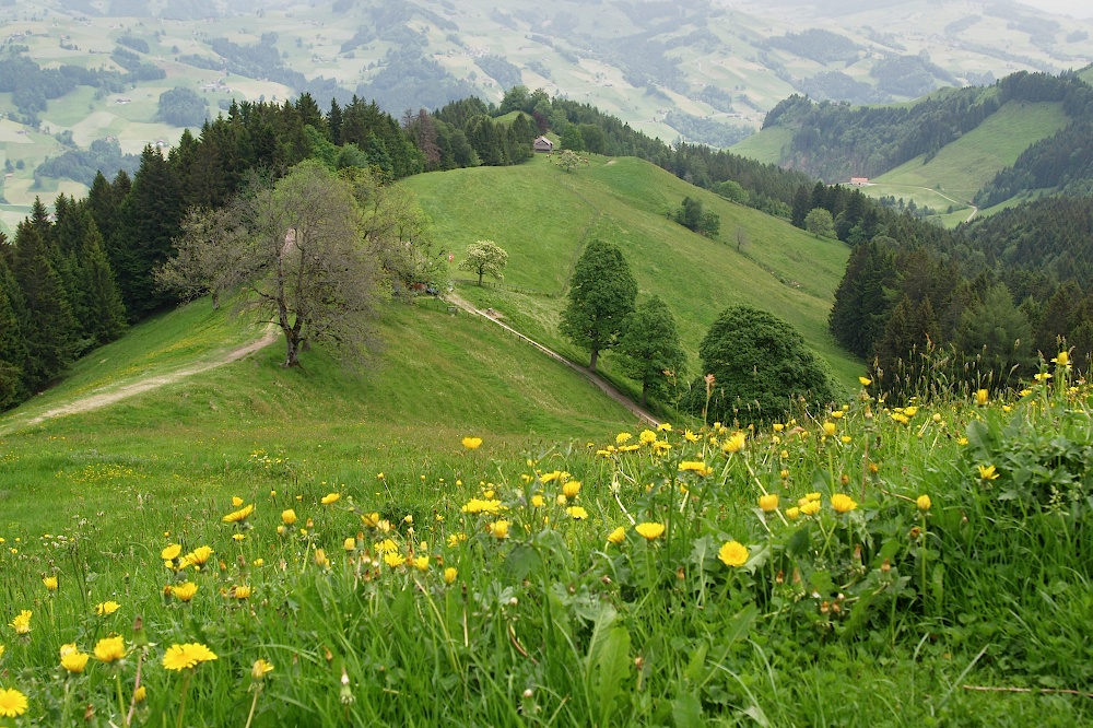 appenzell035.jpg