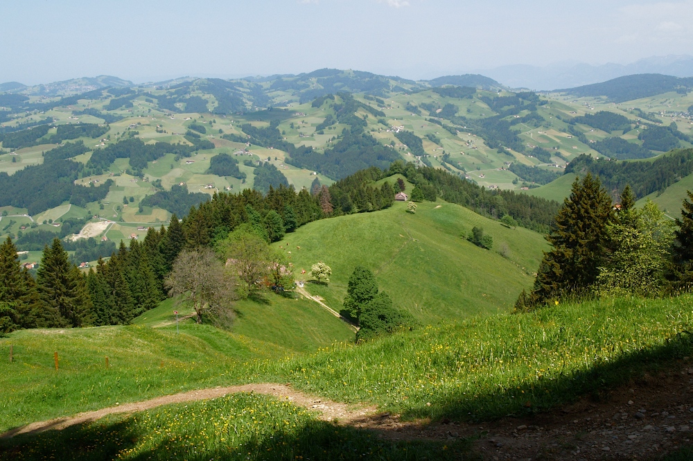 appenzell072.jpg