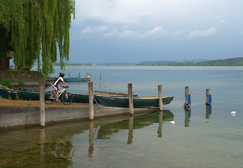 mtb04.jpg