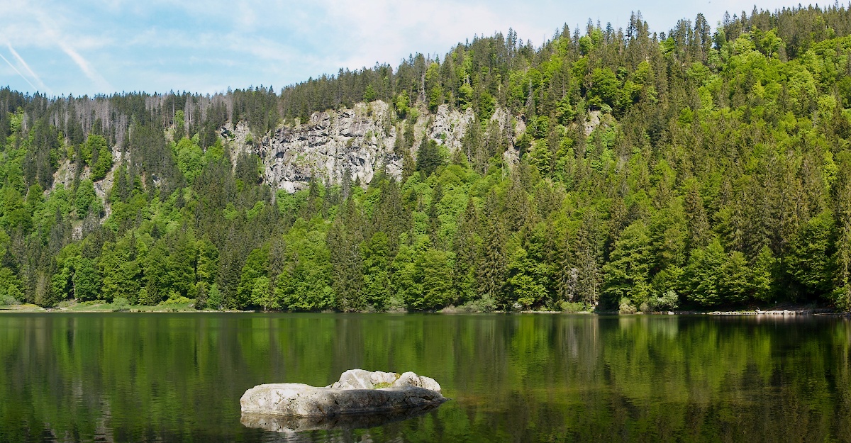 schwarzwald010.jpg