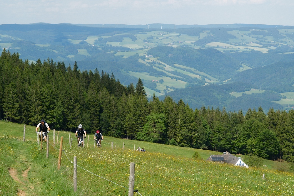 schwarzwald032.jpg
