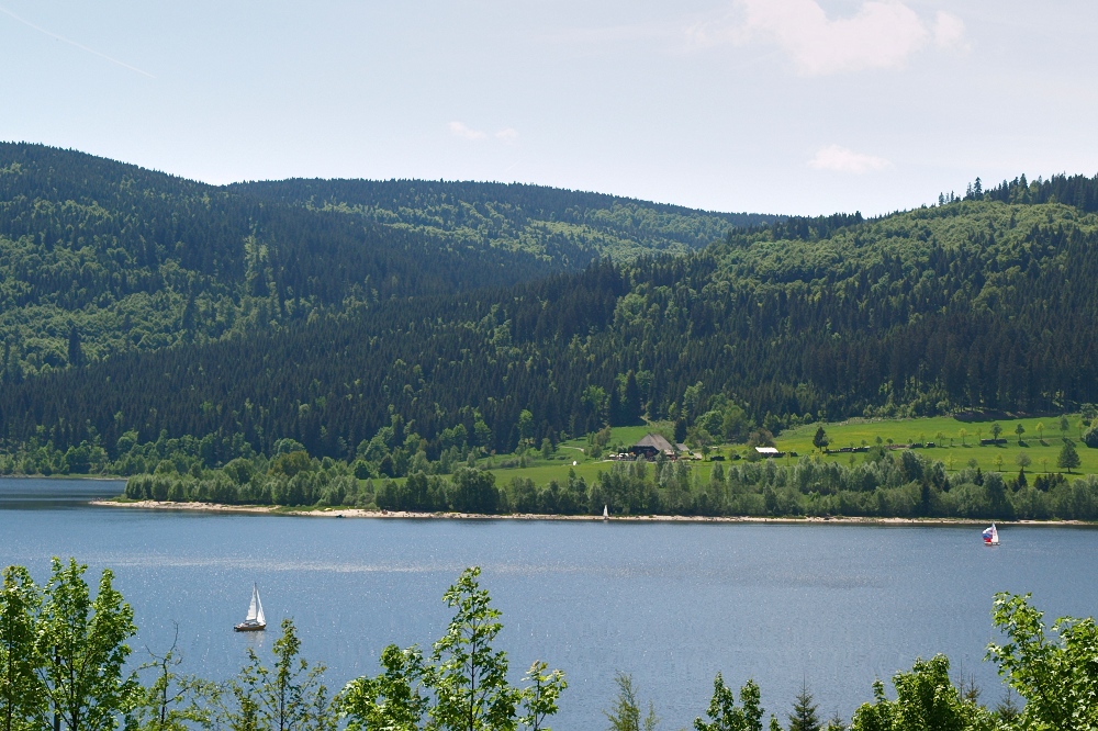 schwarzwald052.jpg