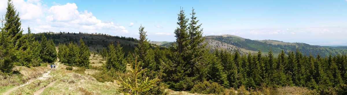 schw2_072.jpg
