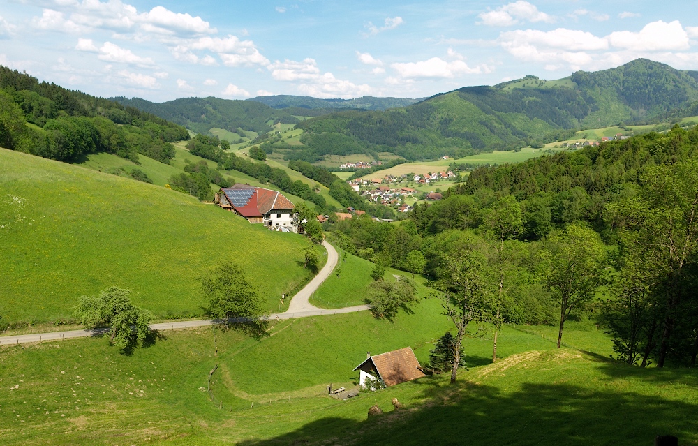 schw2_090.jpg