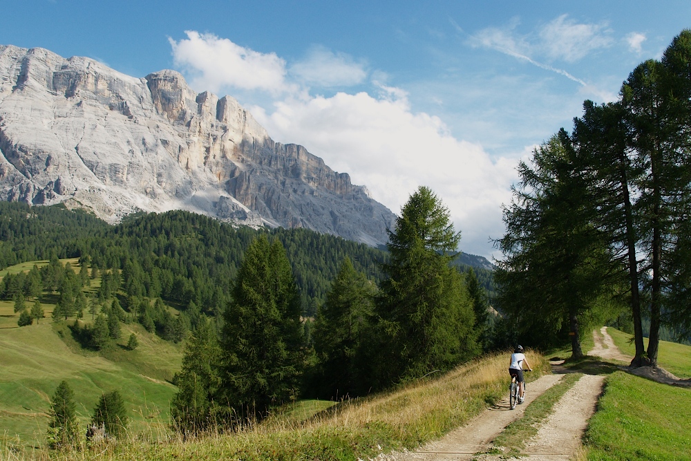 suedtirol066.jpg