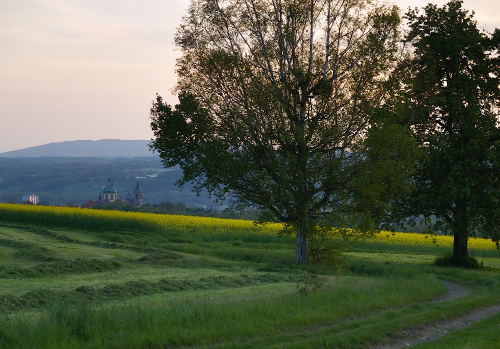 mtb004.jpg