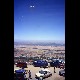 pied1998_02.jpg