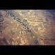 pied1998_05.jpg