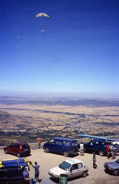 pied1998_02.jpg
