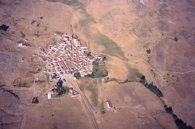 pied1998_04.jpg