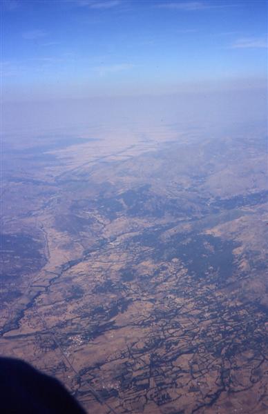 pied1998_06.jpg