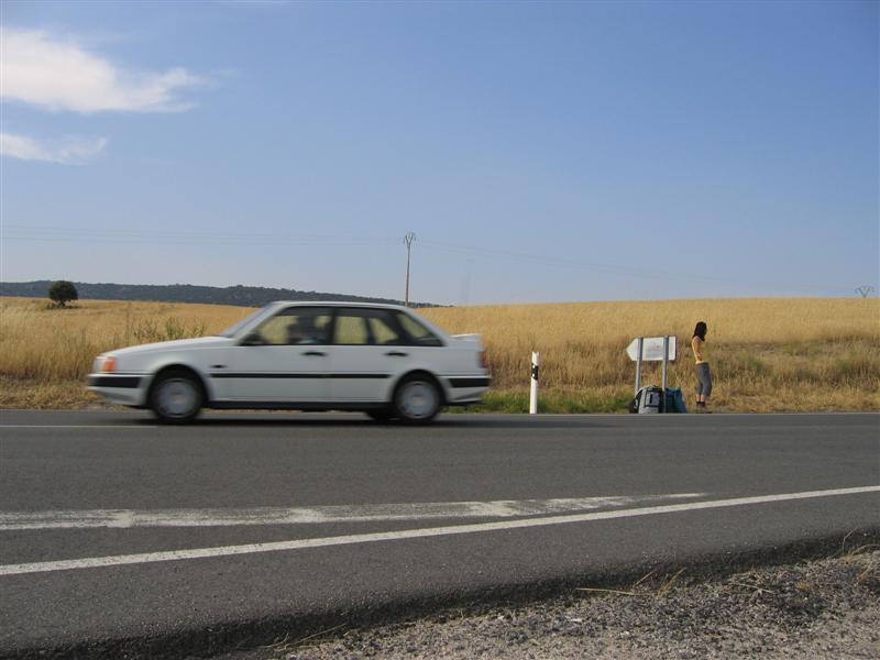 pied2004_02.jpg
