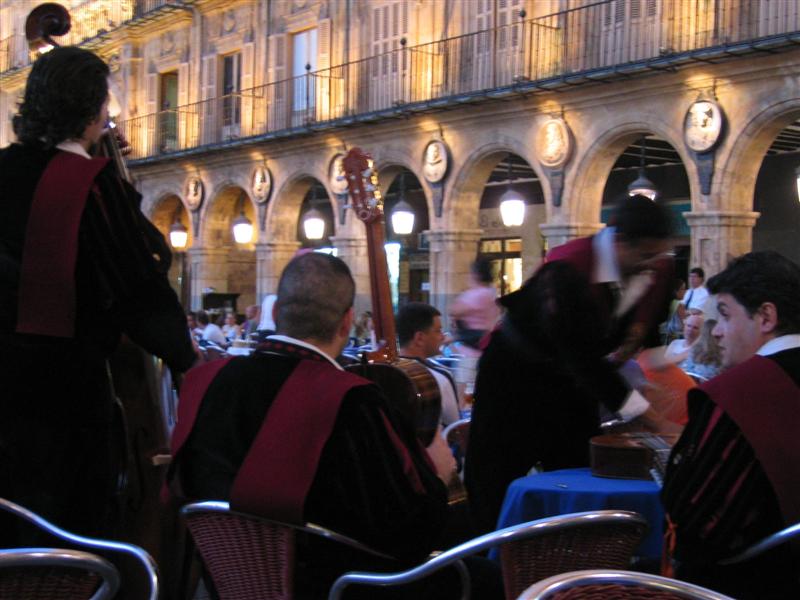 pied2004_04.jpg