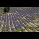 ventoux92_hf.jpg