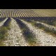 ventoux94_hf.jpg
