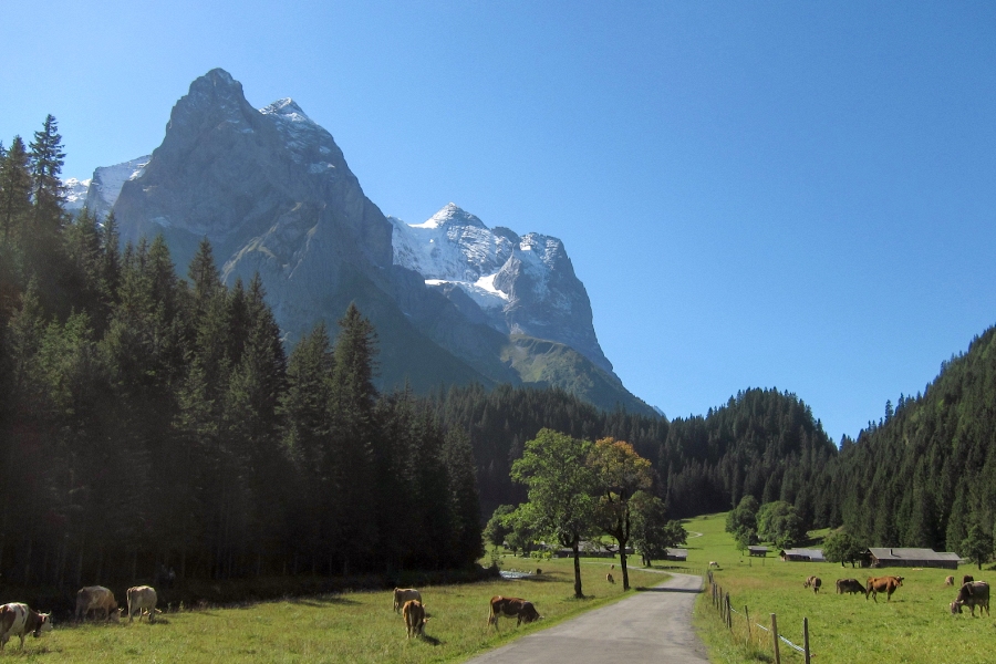 grscheidegg2.jpg