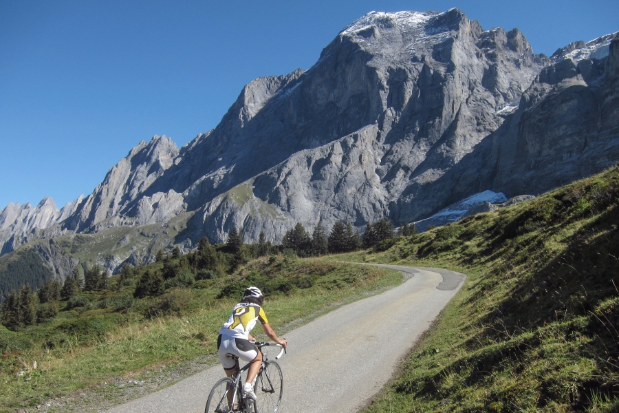 grscheidegg3.jpg